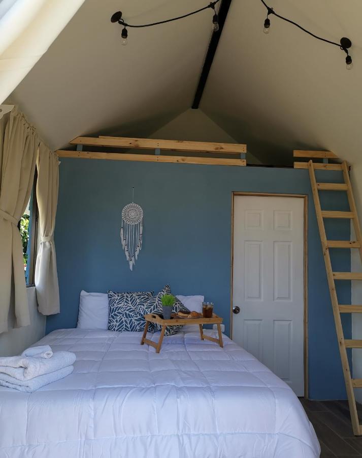 Tiny House Dreamcatcher Sarchi Ngoại thất bức ảnh
